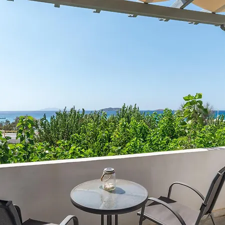 Perasma 1a * Kipri (Andros)